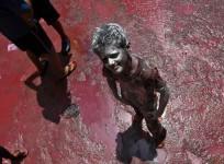 holi-2013