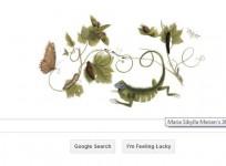 google-doodles-366th-birthday-of-maria-sibylla-merian