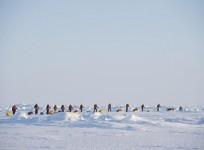 greenpeace-activists-set-out-for-north-pole-expedition