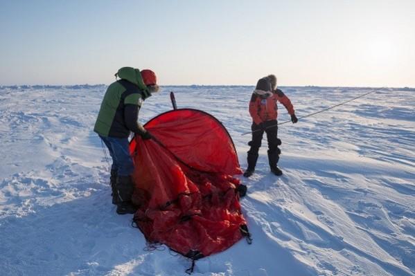 Greenpeace activists (Credit: Greenpeace) Greenpeace activists (Credit: Greenpeace)