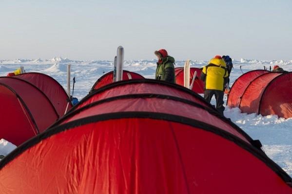 Greenpeace activists (Credit: Greenpeace) Greenpeace activists (Credit: Greenpeace)