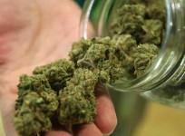 marijuana