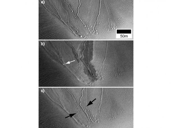 Linear Gullies Inside Russell Crater, Mars