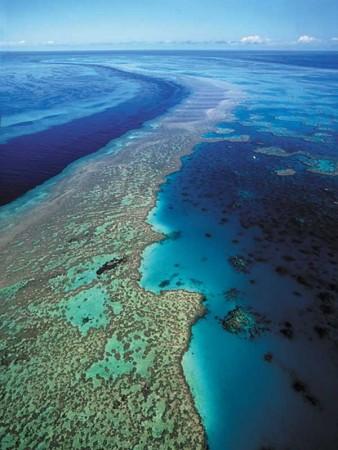 Australian Govt Blamed for Inaction to Protect Great Barrier Reef ...