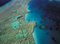 the-great-barrier-reef