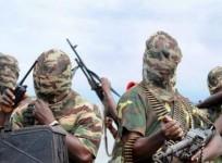 Boko Haram militants