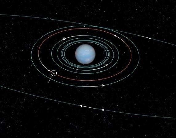 This undated NASA handout diagram shows the orbits of several moons located close to the planet Neptune This undated NASA handout diagram shows the orbits of several moons located close to the planet Neptune