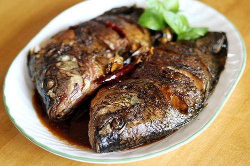 FDA Suggests Pregnant Women to Consume Low-Mercury Fish (Bing/ cherrylet/Flickr)
