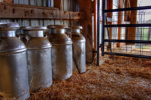 Milk