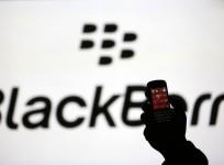 blackberry