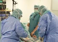 Use of Cement in Hip Replacement Surgeries is Linked to Deaths (Representational Image)