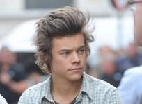 harry-styles-credits-facebook-harry-styles