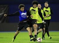 fellaini-witsel-belgium