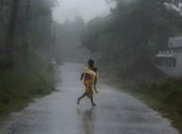 cyclone-phailin