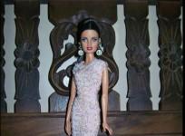 human-barbie-doll
