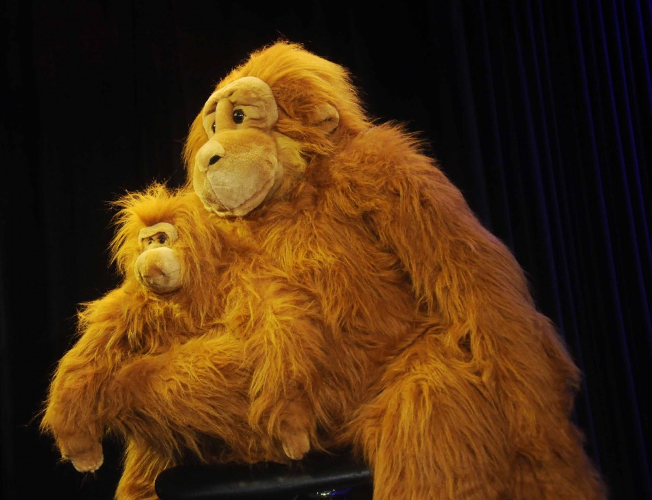 Launch of Singapore Tourism Board marketing campaign