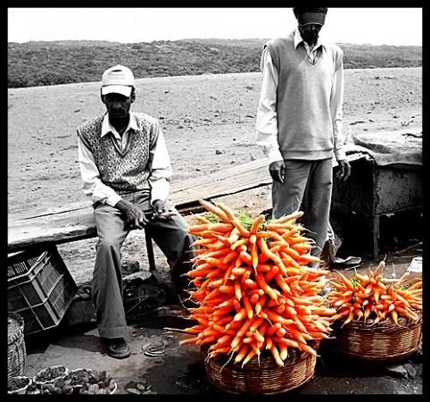 Carrots