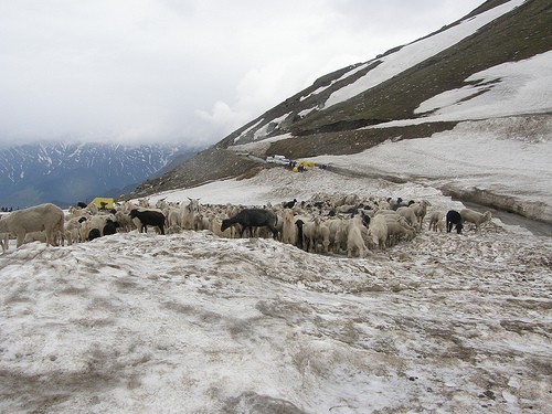 Snowfall at Rohtang Pass, Himachal Pradesh