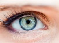 Eye