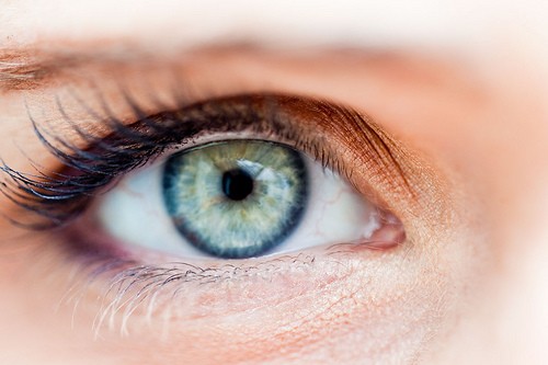 Eye