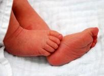 Baby toes