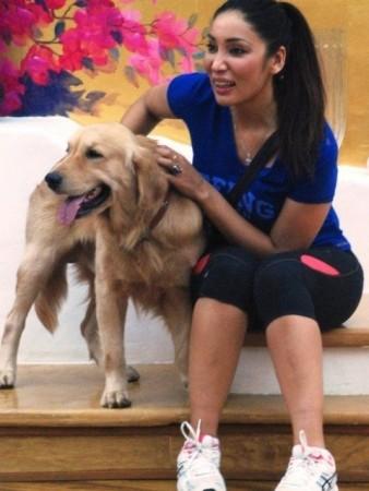 Sofia Hayat
