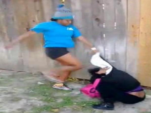 Sharkeisha Fighting video