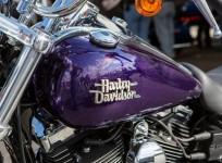 harley-davidson