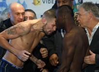 bellew-stevenson-boxing