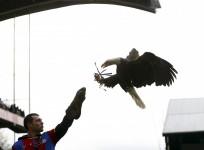 crystal-palace-will-host-london-rivals-west-ham-at-selhurst-park-on-tuesday