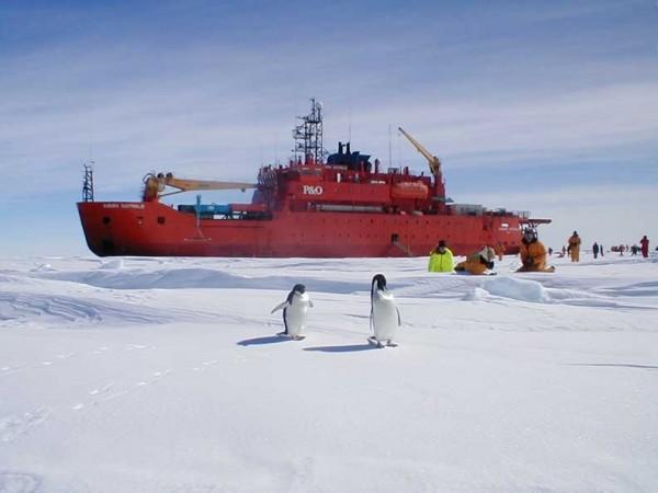 The Aurora Australis icebreaker pictured. It is on its way to rescue stranded research ship.