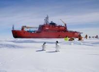 the-aurora-australis-icebreaker-pictured-it-is-on-its-way-to-rescue-stranded-research-ship