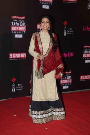 Juhi Chawla at the 20th Annual Screen Awards 20th Annual Screen Awards