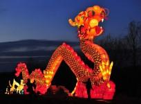 chinese-new-year-2014