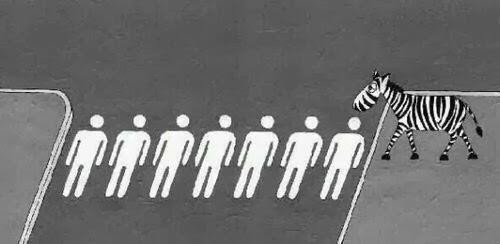 Twitter pic where Zebra is crossing a 'human crossing'