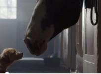 screen-shot