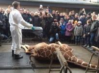 picture-that-has-surfaced-in-twitter-show-that-the-killing-is-shown-to-a-crowd