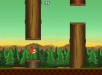 clumsy-bird