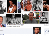 fake-facebook-page-on-arnold-schwarzenegger-death-picart-j