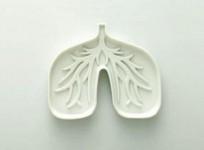 human-lung