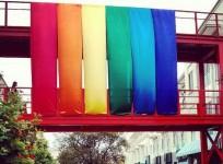 facebook-diversity-put-up-the-rainbow-flagwhile-announcing-its-new-custom-gender-option-facebook