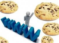 snowden-leaknsa-storing-cookie-information-of-users-picart-j