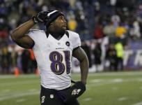 anquan-boldin