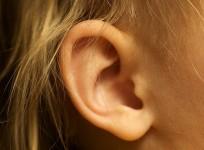 ear