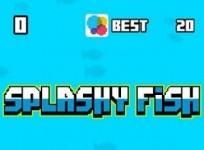 splashy-fish