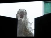 video-screen-shot