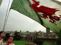 st-davids-day-celebration-events-to-look-for-representation-picture-reuters