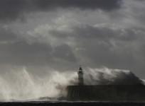 britain-storms-uncover-world-war-ii-bombs-ancient-trees-representational-image