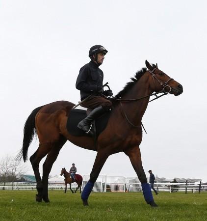 Ruby Walsh atop two-time Champions Hurdle winner Hurricane Fly. Reuters Ruby Walsh Hurricane Fly Cheltenham