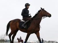 ruby-walsh-hurricane-fly-cheltenham